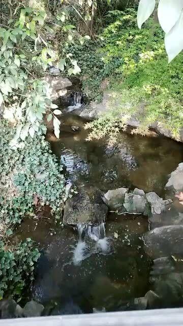 防御阵型2