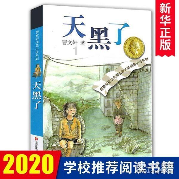 如何通过会议租车优化您的商务旅行？