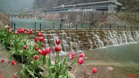 调兵遣将飞机打击