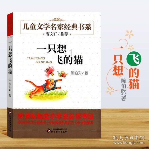 植物大战僵尸9