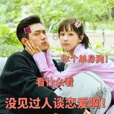 陕西高院司法警察总队政委田伟一行来蒲城法院检查指导警务安全工作
