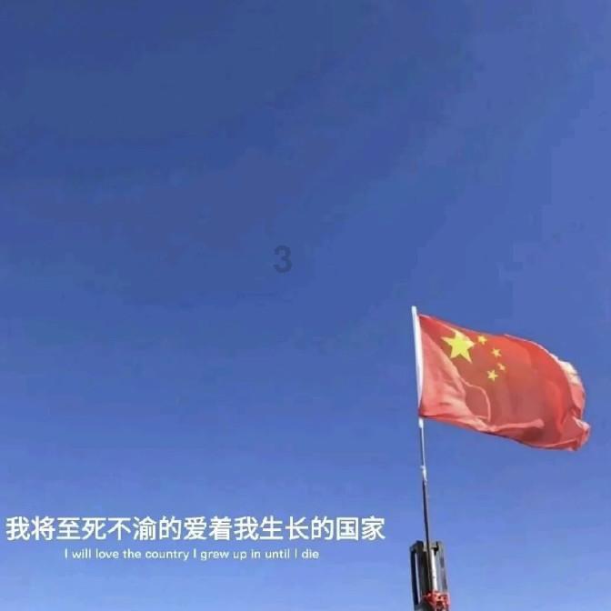 生化危机：浣熊市行动