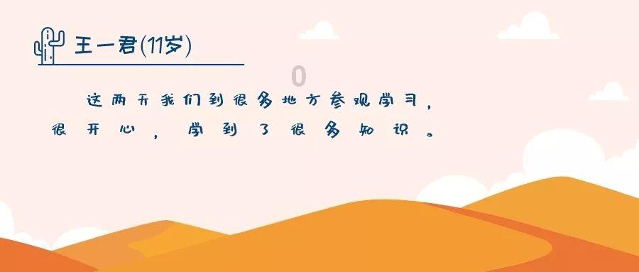 渣渣辉传奇