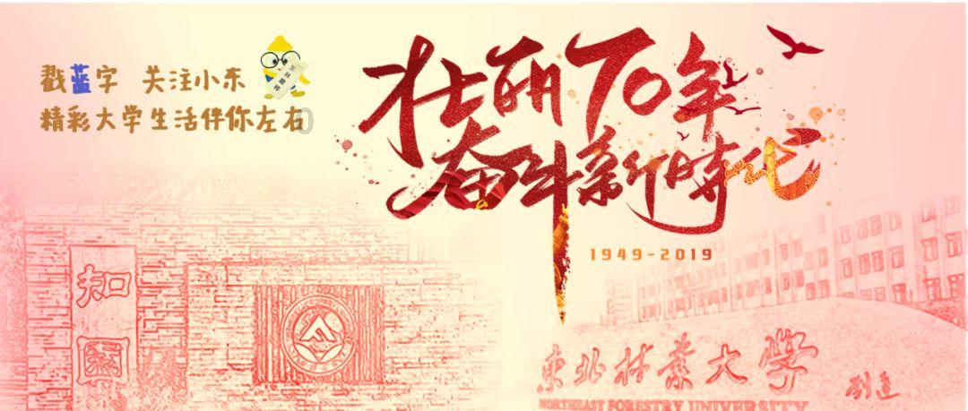 古董市场