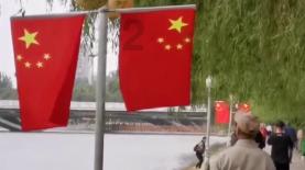 苏菲亚安伯时装秀