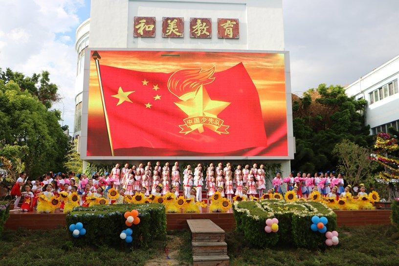 救援鹦鹉