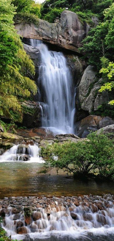 罗马诺：拜仁和巴黎还在谈穆基勒，拜仁的备选是特里皮尔