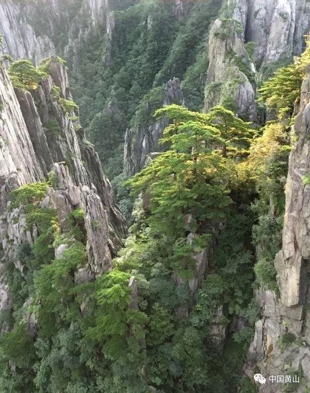注重外貌